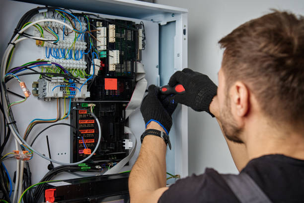 Licensed Electrical Panel Upgrade service in Wacousta, MI - No Joke electrician